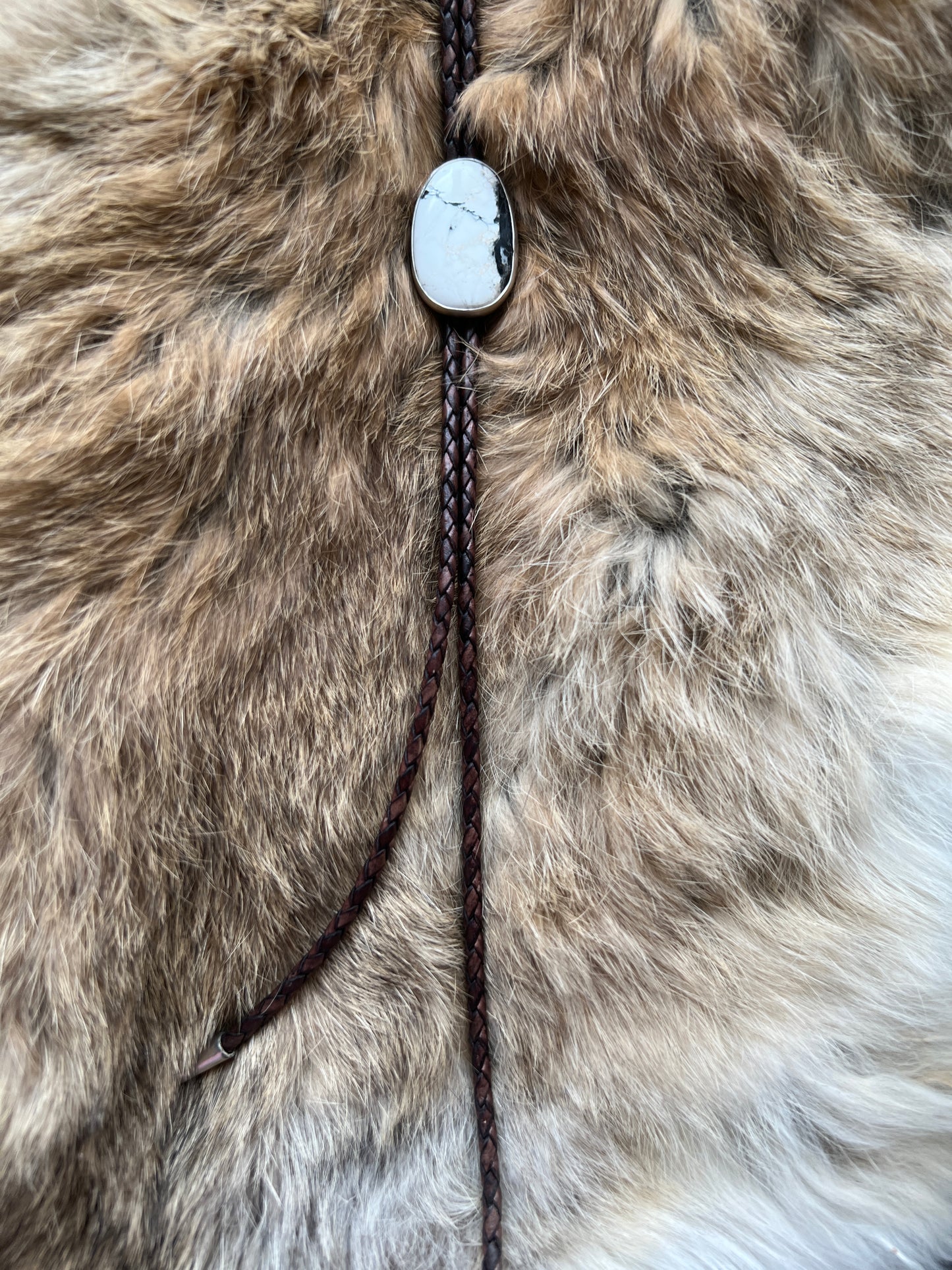 White buffalo bolo